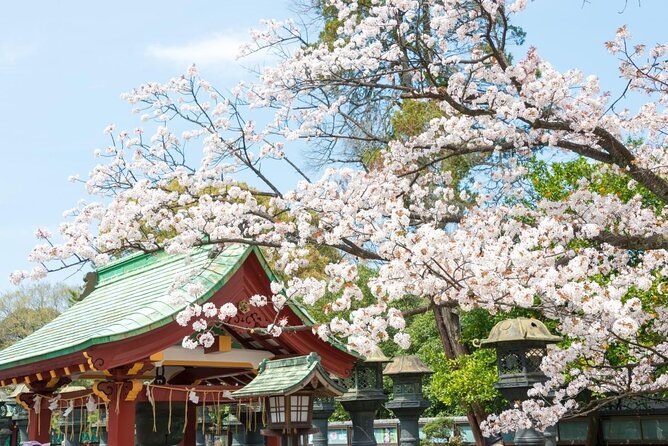 Ueno Food Tour With A Local Master Guide Fully Customized - Key Takeaways