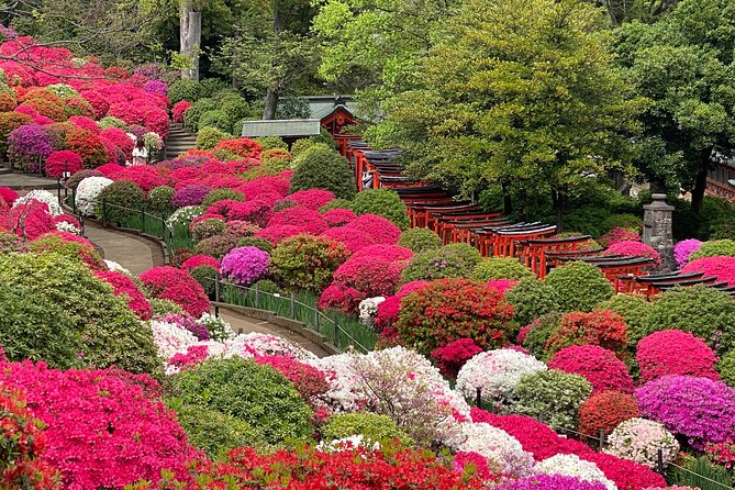 The Old Quarter of Tokyo - Yanaka Walking Tour - Frequently Asked Questions