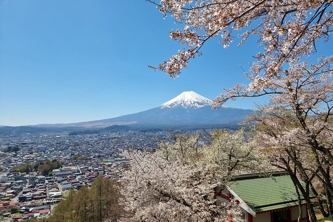 Mt. Fuji View and 2hours+ Free Time at Gotemba Premium Outlets - Gotemba Premium Outlets Experience