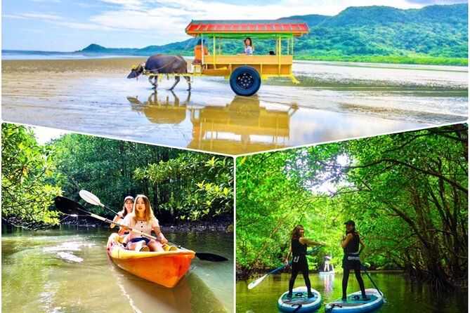 [Iriomote]Sup/Canoe Tour + Sightseeing in Yubujima Island - Just The Basics