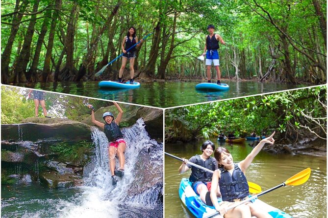 [Iriomote]SUP/Canoe Tour at Mangrove Forest+Splash Canyoning!! - Just The Basics