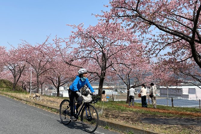 Akagi 100km Circle E-Bike Tour With Onsen Stay - Key Takeaways