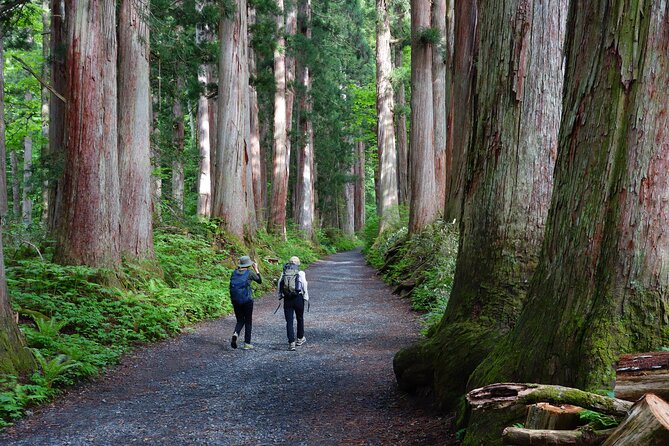 Full Day North Nagano Hiking Experience - Price and Booking