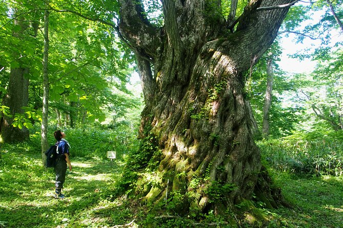 Full Day North Nagano Hiking Experience - Directions