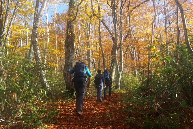 Full Day North Nagano Hiking Experience - End Point