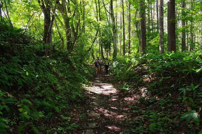 Full Day North Nagano Hiking Experience - Meeting Point