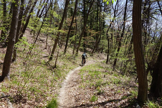 Half Day E-Bike Adventure Tour in Nagano - Conclusion