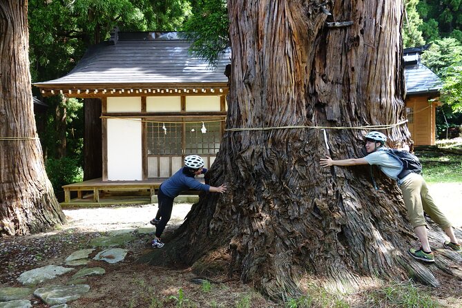 Half Day E-Bike Adventure Tour in Nagano - Frequently Asked Questions