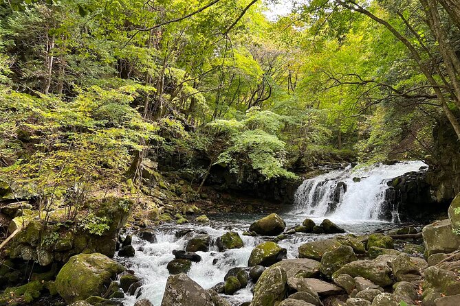 Ebike Tour in Lake Shirakaba and Tateshina Highland Japan - Refund Policy