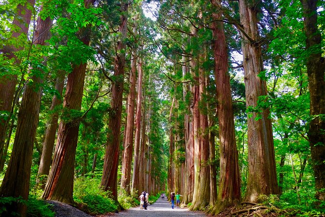 Togakushi Shrine Hiking Trails Tour in Nagano - Frequently Asked Questions