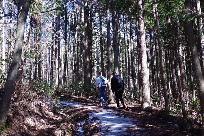 Togakushi Shrine Hiking Trails Tour in Nagano - Price