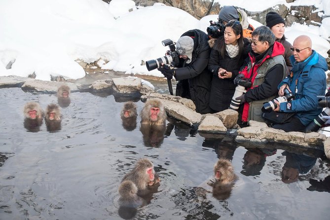 Full-Day Private Nagano Tour: Zenkoji Temple, Obuse, Jigokudani Monkey Park - Memorable Experiences Shared