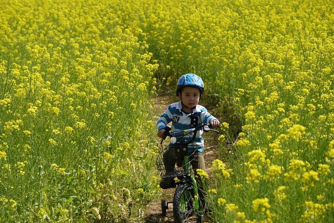 Nagano Half-Day Cycling Tour - Key Takeaways