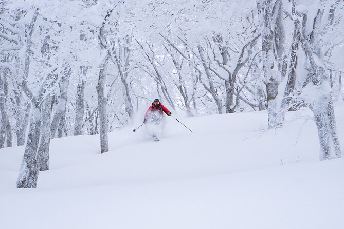 Ski or Snowboard Lesson in Shiga Kogen (4Hours) - Location