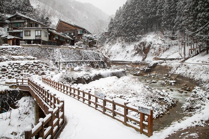 Snow Monkey, Zenko Ji Temple, Sake in Nagano Tour - Additional Information