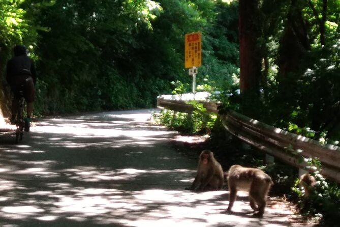 Bike Rentals in Nagano to Explore Snow Monkey Park. - Meeting Point and End Point