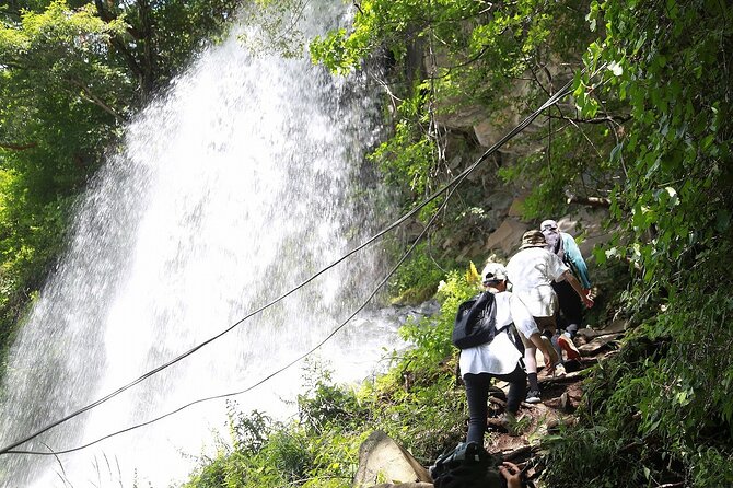 E-Bike Tour Through Forests and Springs on a 1000m Plateau - Itinerary Overview