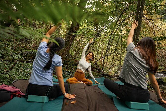 Meditation Experience in Nature With Primeval Forest and Springs - Participant Requirements