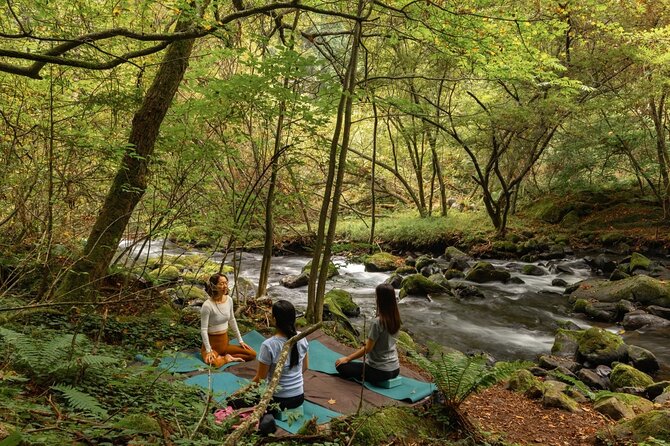 Meditation Experience in Nature With Primeval Forest and Springs - Directions to the Meditation Spot