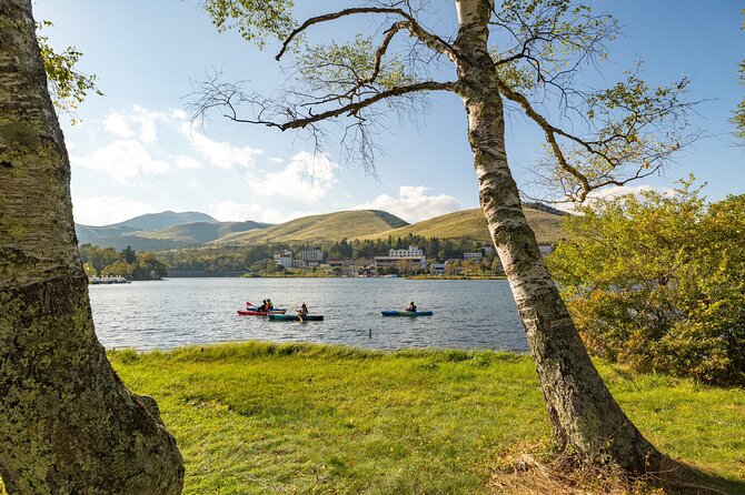 Guided Canoe Tour to the Springs and Highlands of Shirakaba Lake - Key Takeaways