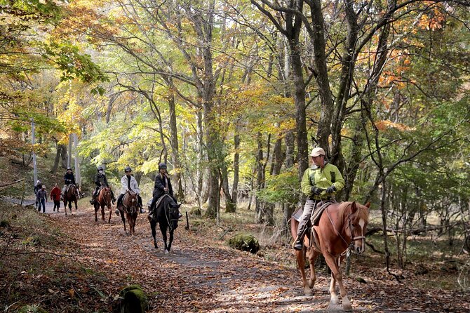 Horse Riding Experience in Nature Rich Lake Shirakaba - Key Takeaways