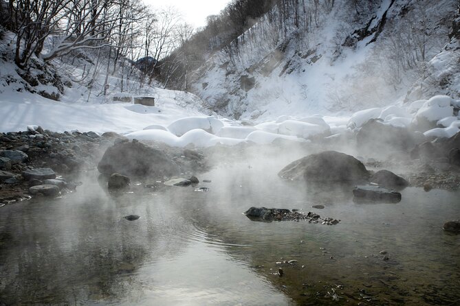 A Secret Wild Outdoor Bath Rotenburo Experience From NAGANO - Cancellation Policy