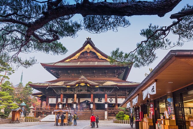 Nagano All Must-Sees Half Day Private Tour With Government-Licensed Guide - Customizable Itinerary