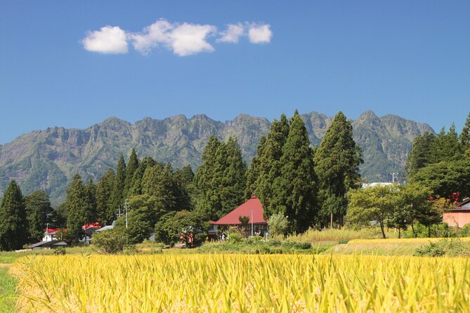 Nagano All Must-Sees Half Day Private Tour With Government-Licensed Guide - Additional Information