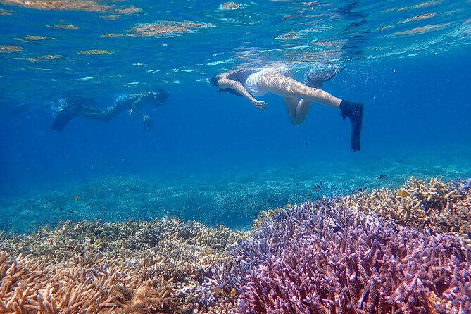 [Ishigaki] Snorkeling Tour at Phantom Island - Cancellation Policy