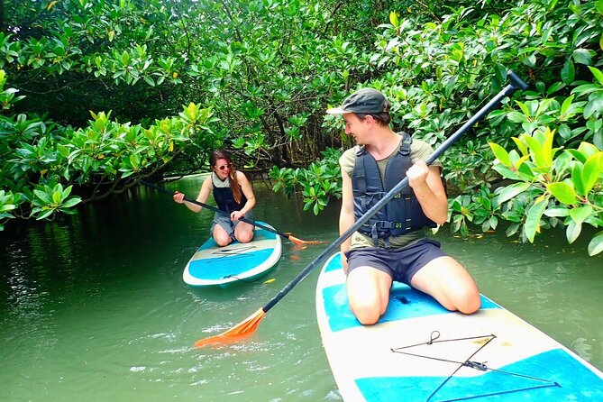 [Ishigaki] Mangrove SUP/Canoe + Phantom Island Snorkeling - Meeting and Pickup Details