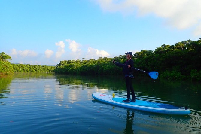 [Ishigaki]Mangrove SUP/Canoe Tour - Frequently Asked Questions