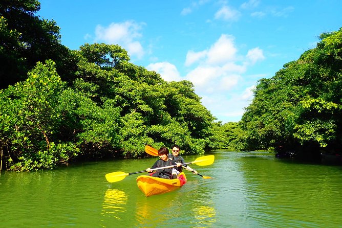 [Ishigaki]Mangrove SUP/Canoe Tour - Reviews