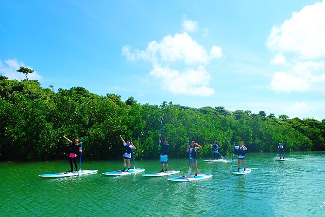 [Ishigaki]Mangrove SUP/Canoe Tour - Directions