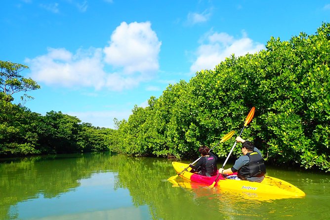 [Ishigaki]Mangrove SUP/Canoe Tour - Background