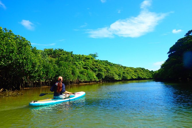 [Ishigaki]Mangrove SUP/Canoe Tour - Reservations