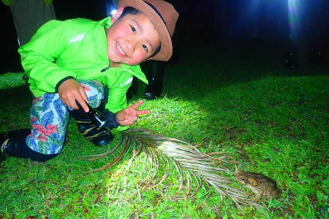 [Ishigaki] Night Jungle Tour - Traveler Reviews