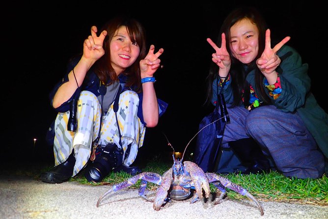 [Ishigaki] Night Jungle Tour - Cancellation Policy