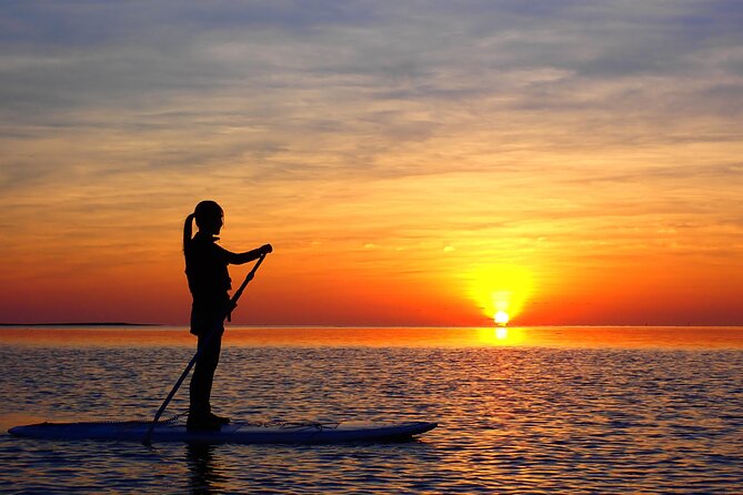 [Ishigaki] Sunset Sup/Canoe Tour - Price