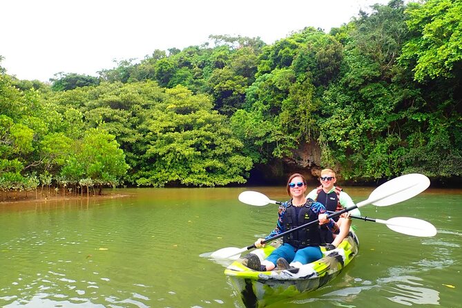 [Ishigaki]Mangrove SUP/Canoe + Blue Cave Snorkeling - Pickup and Transportation Information