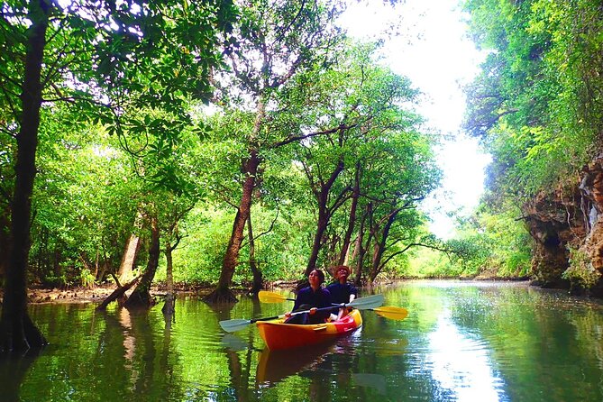 [Ishigaki]Mangrove SUP/Canoe + Blue Cave Snorkeling - Additional Information and Requirements