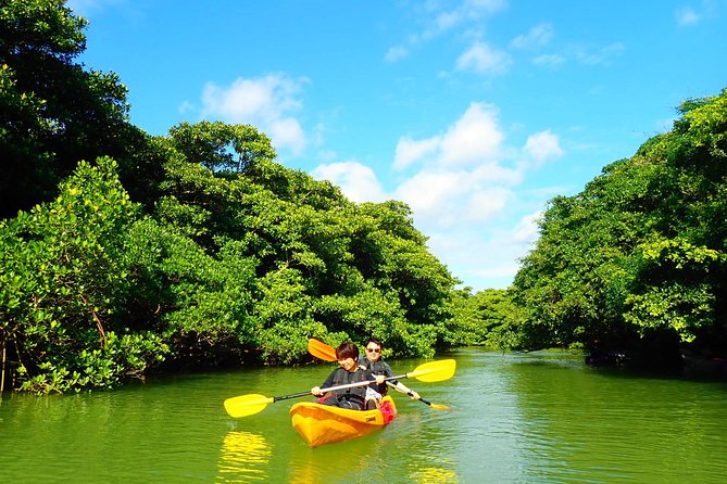 [Ishigaki]Mangrove SUP/Canoe + Blue Cave Snorkeling - Frequently Asked Questions