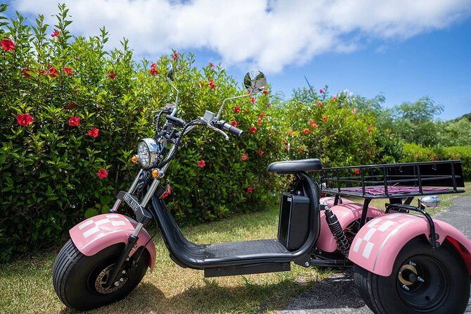 2h Electric Trike Rental in Okinawa Ishigaki - Key Takeaways