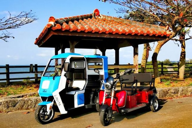 2h 3-Seater Electric Trike Rental (Ishigaki, Okinawa) - Key Takeaways