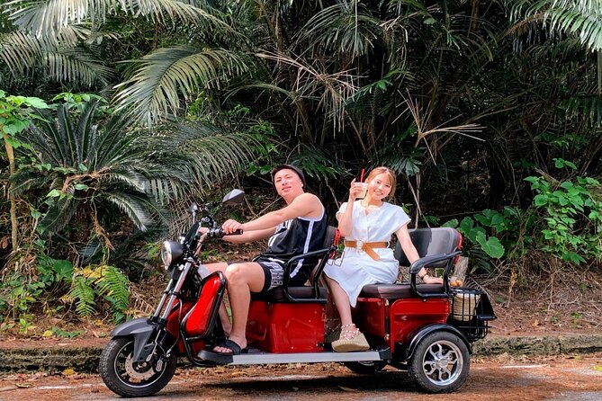 2h 3-Seater Electric Trike Rental (Ishigaki, Okinawa) - Recommendations and Reservations