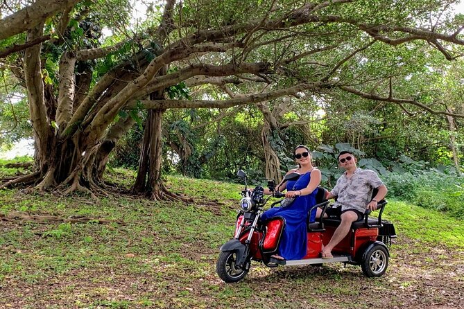 2h 3-Seater Electric Trike Rental (Ishigaki, Okinawa) - Weather Cancellation Policy