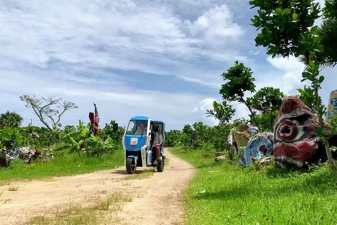 2h 3-Seater Electric Trike Rental (Ishigaki, Okinawa) - Additional Information for Travelers