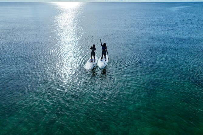 【Private】Clear SUP Ride With Drone Photography in Ishigaki Island - Price and Booking