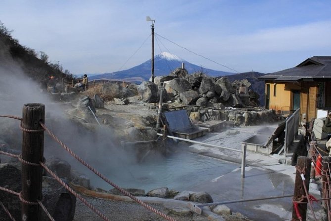 Hakone Onsen Experience, Lake Ashi, Open-Air Museum Tour - Inclusions and Fees