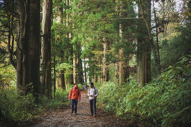 Custom Private Tour in Hakone With Optional Hot Springs Experience - Logistics and Departure Points