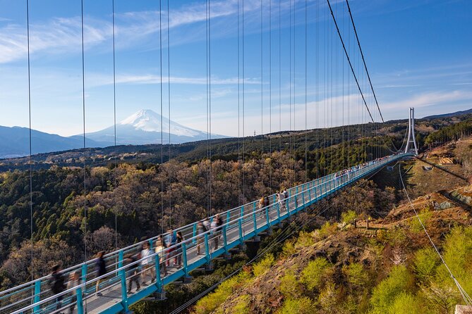 Full Day Private Tour in Hakone - Operational Details